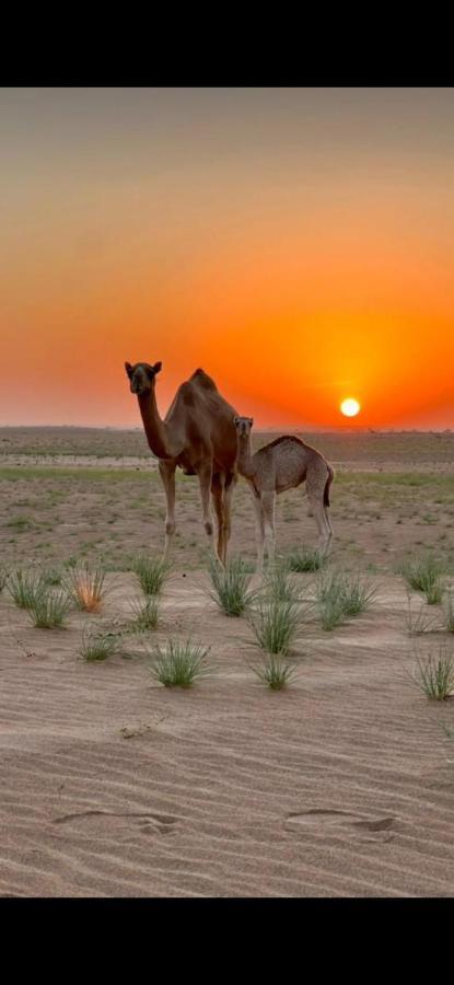 Panorama Camp Bidiya Guest House Al Wasil ภายนอก รูปภาพ